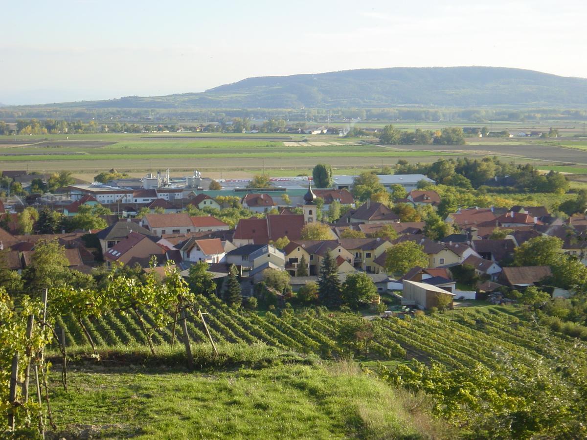 Weingut Und Gaestehaus Berger Bed & Breakfast Gedersdorf Exterior foto